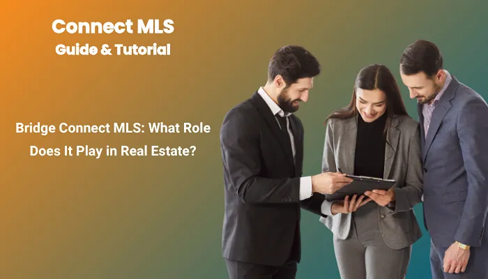 Bridge Connect MLS: What Role Does It Play in Real Estate? Bridge Connect MLS: What Role Does It Play in Real Estate?